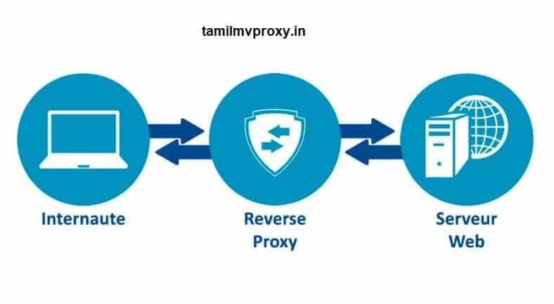 tamilmvproxy